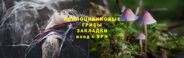 мяу мяу мука Михайловка