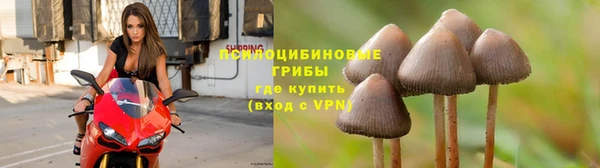 герыч Михайлов