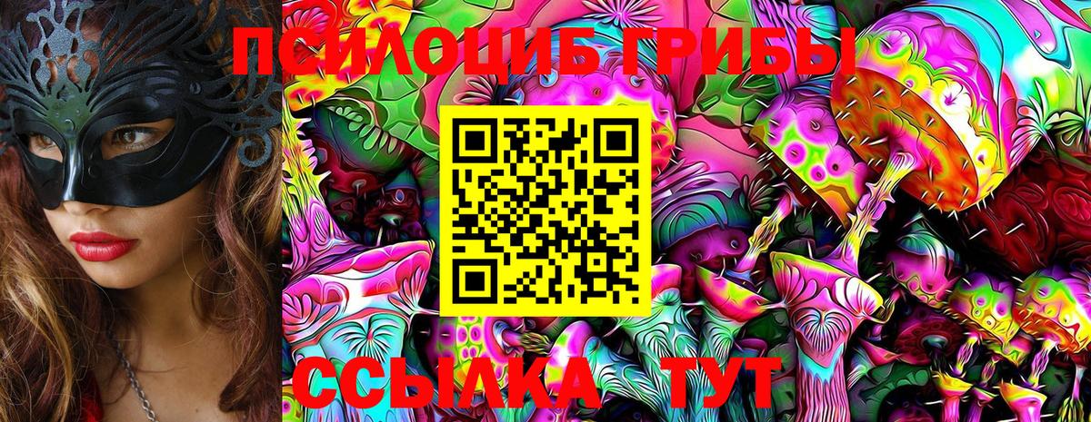 Псилоцибиновые грибы GOLDEN TEACHER Фролово